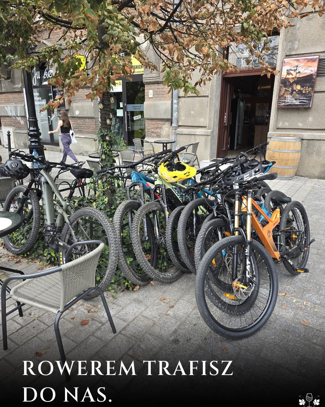 Moti Wine Bar, kulisy: Rowerem pod stoliki