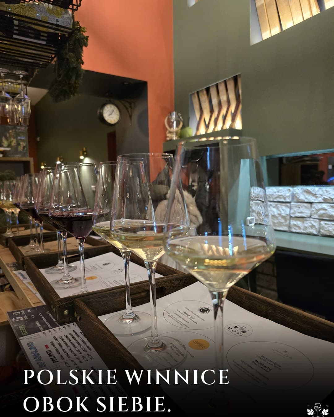 Moti Wine Bar, kulisy: Polskie winnice obok siebie